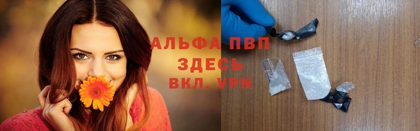 apvp Карпинск