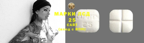 apvp Карпинск
