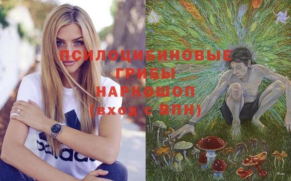 синтетический гашиш Касимов