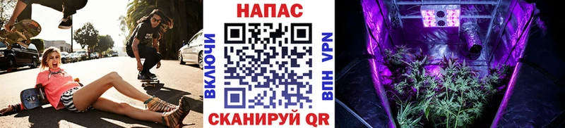 Бошки Шишки Bruce Banner  Купить где  Гороховец 